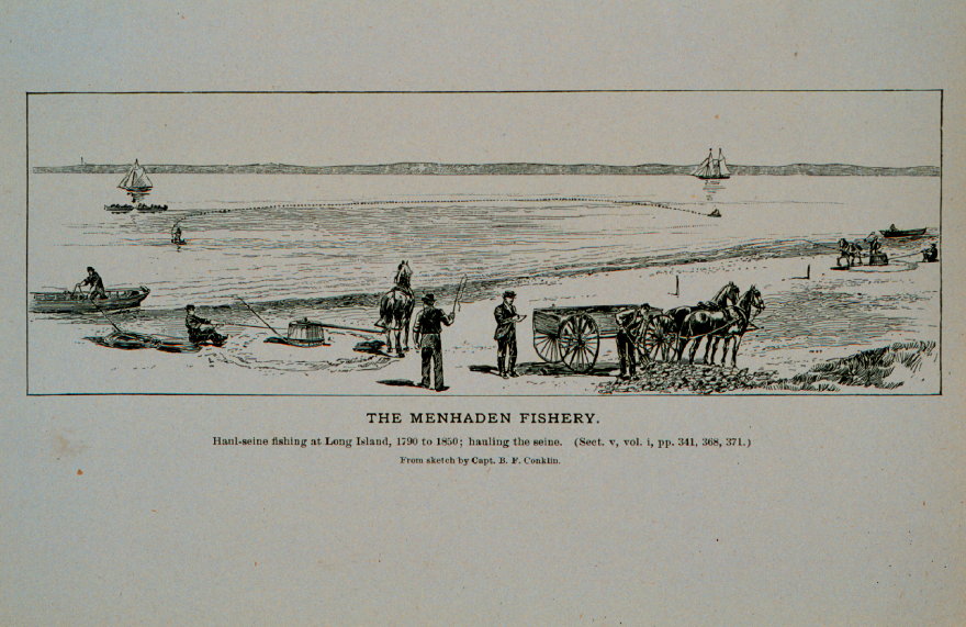Description of the image
