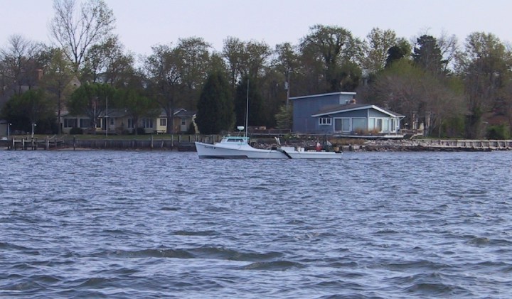 Description of the image