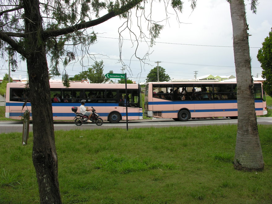 Description of the image