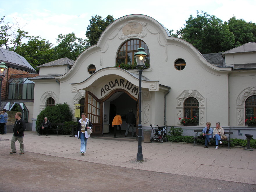 Description of the image