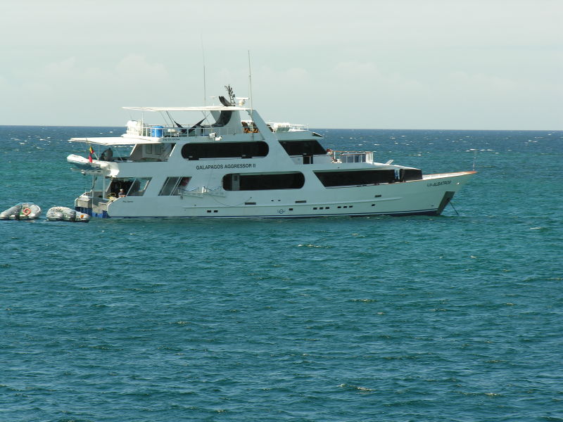 Description of the image