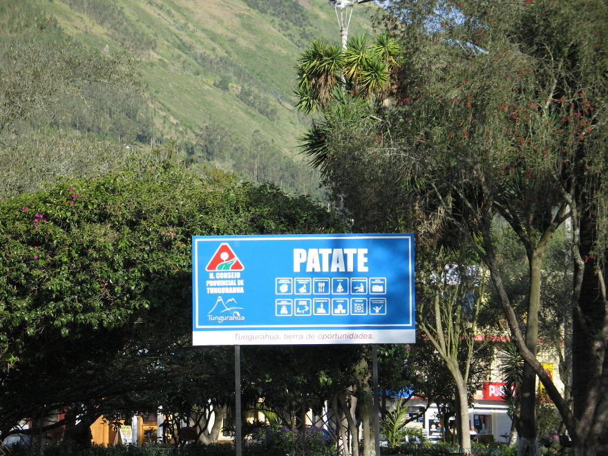Description of the image