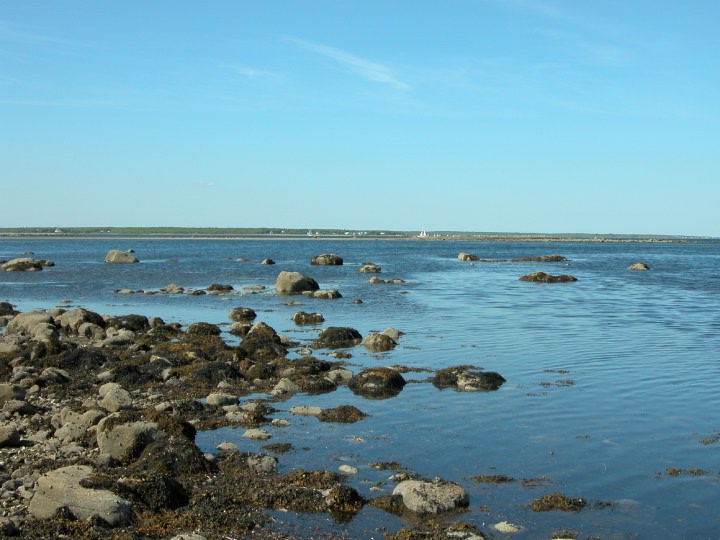 Description of the image