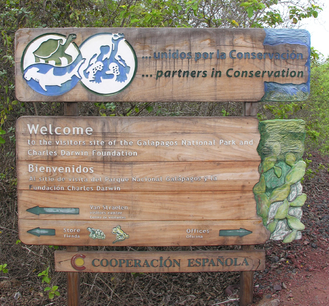 Description of the image