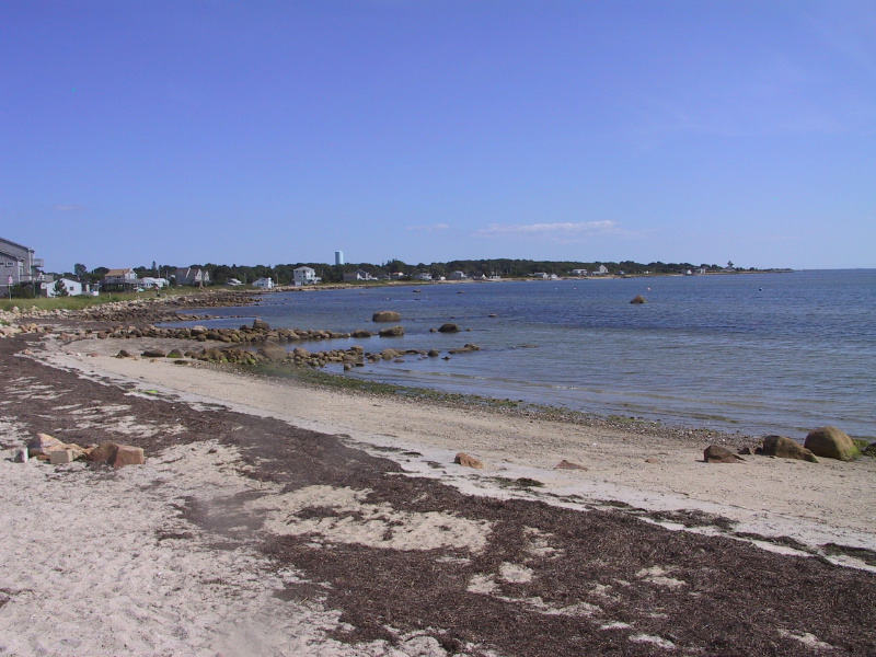 Description of the image