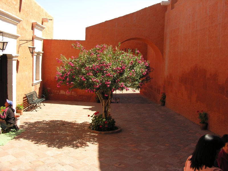 Description of the image