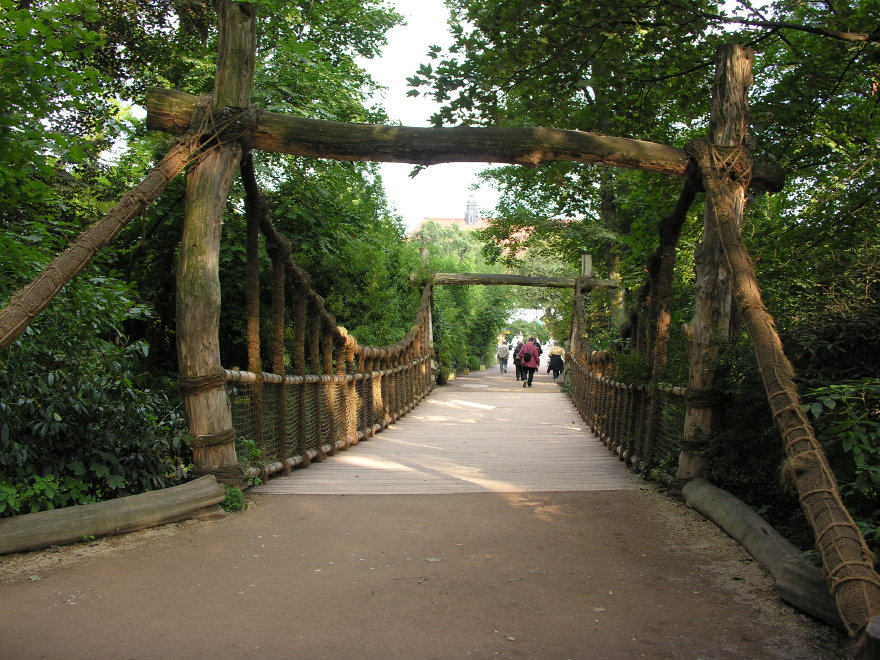 Description of the image