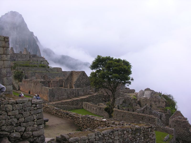 Description of the image