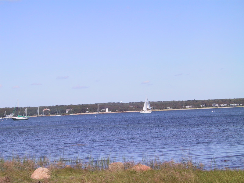 Description of the image
