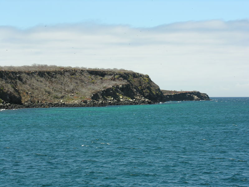 Description of the image