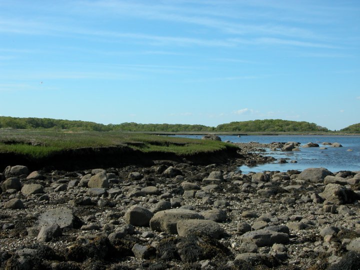 Description of the image