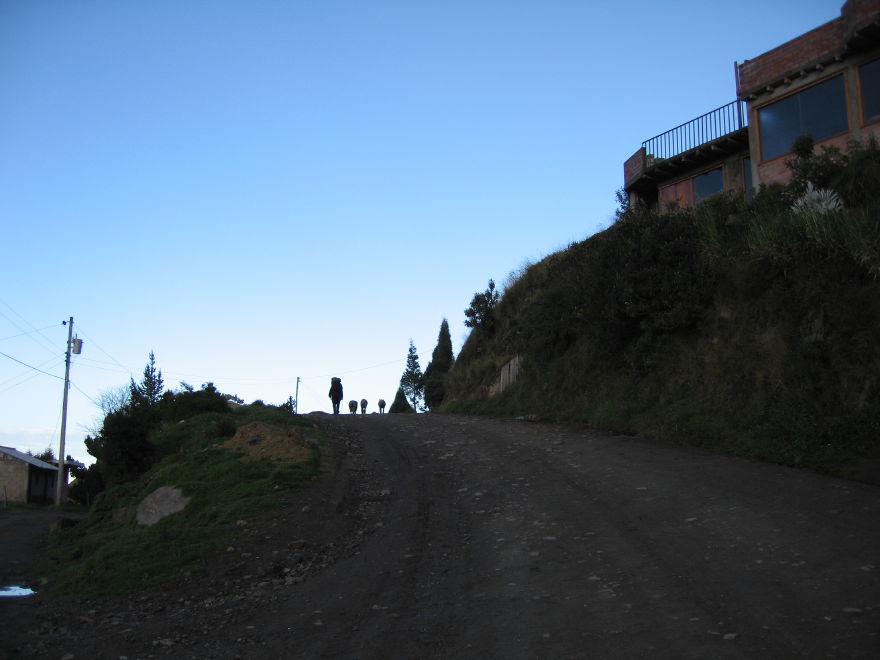 Description of the image