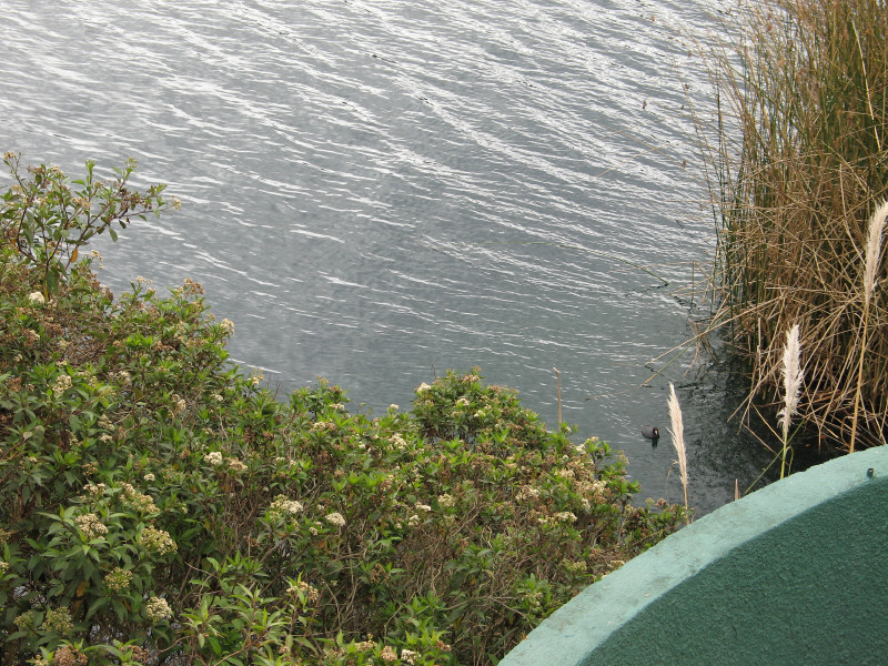 Description of the image