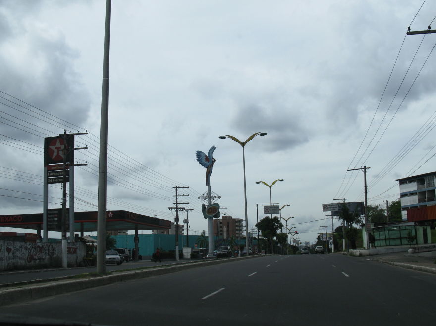 Description of the image