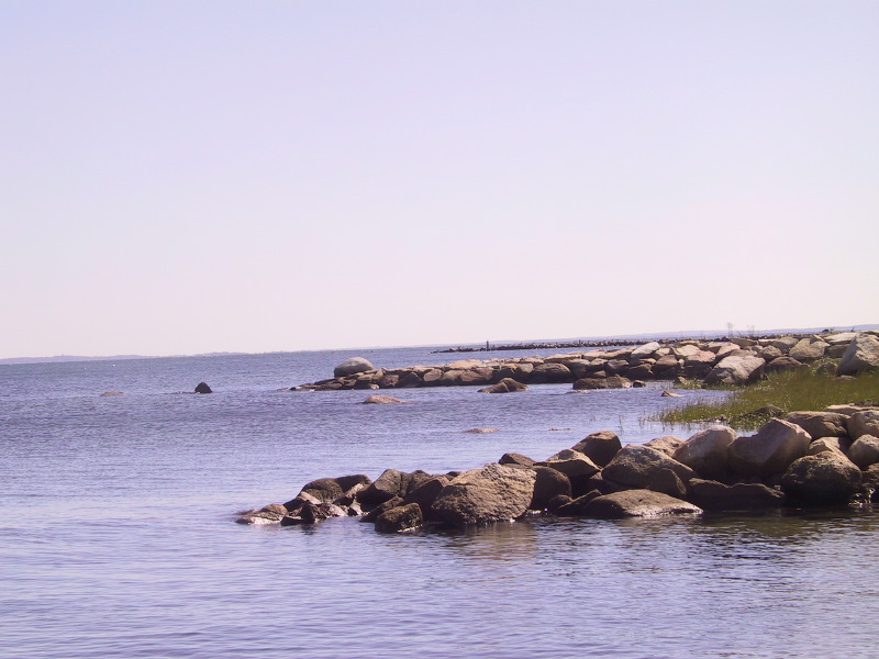 Description of the image