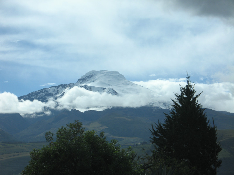Description of the image