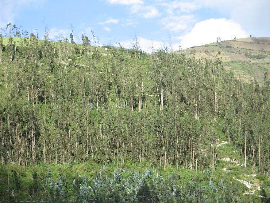 Description of the image