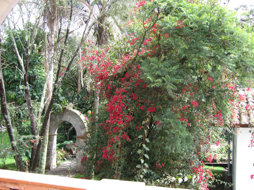 Description of the image