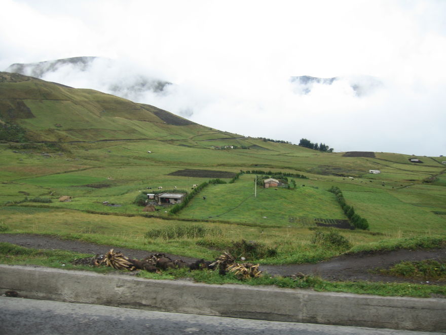 Description of the image