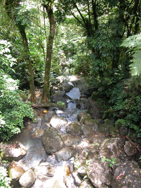 Description of the image