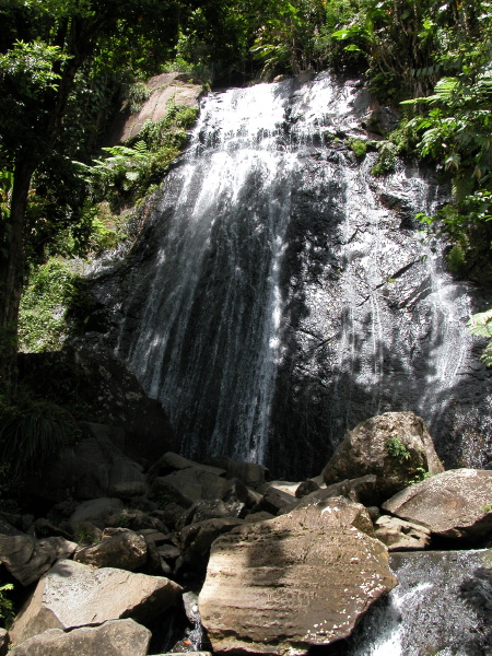 Description of the image