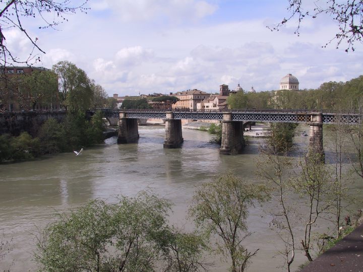 Description of the image