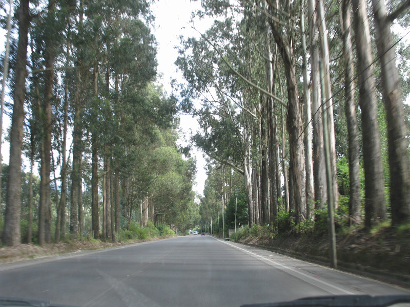 Description of the image