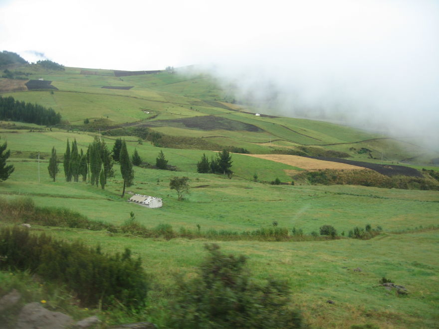 Description of the image