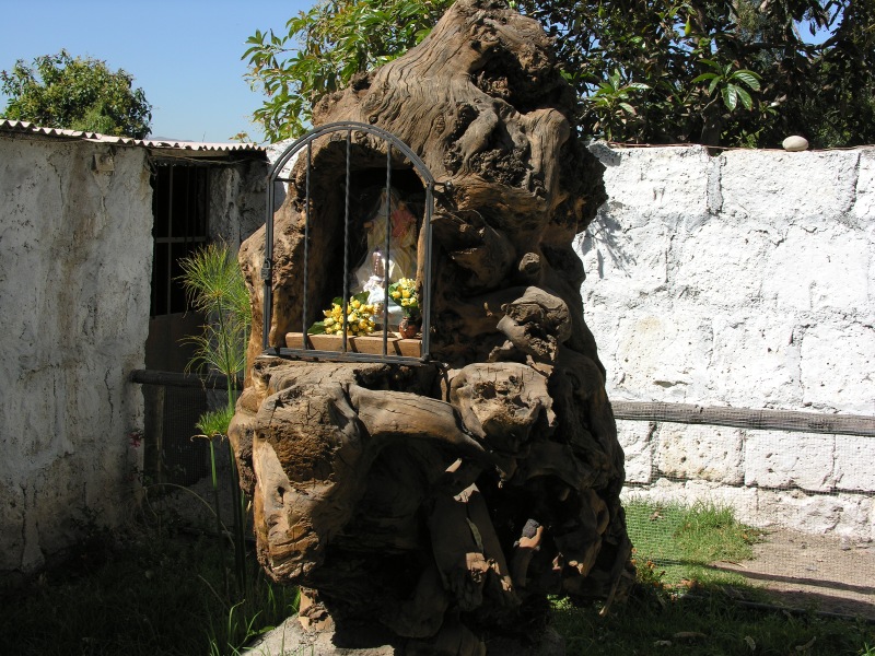 Description of the image