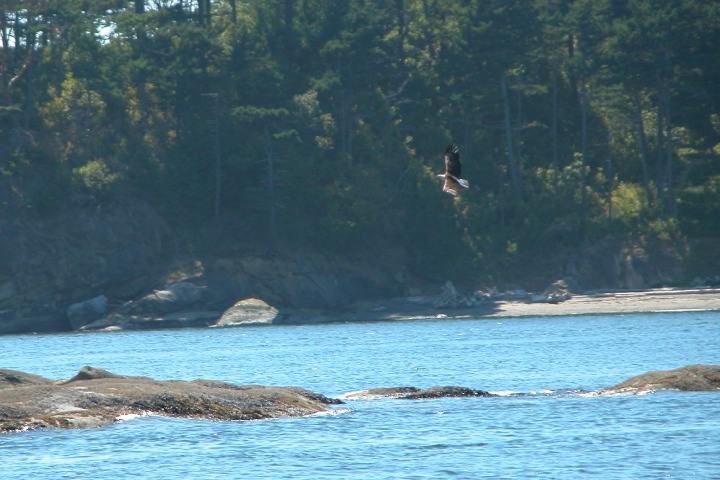 Description of the image