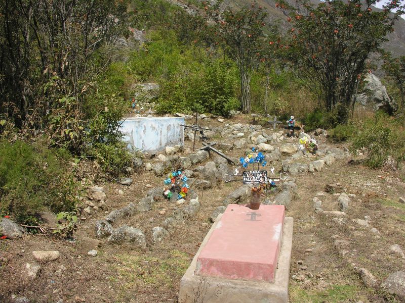 Description of the image