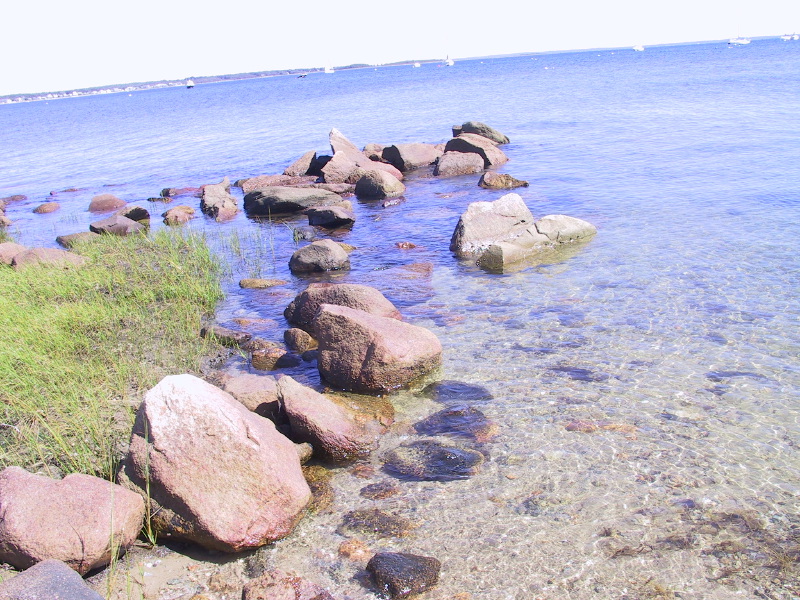 Description of the image