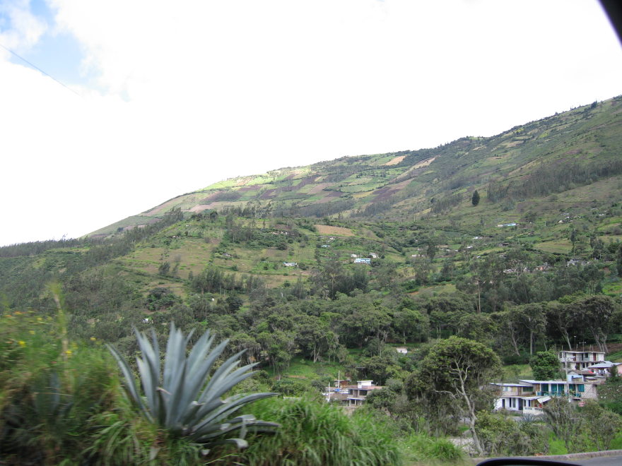 Description of the image