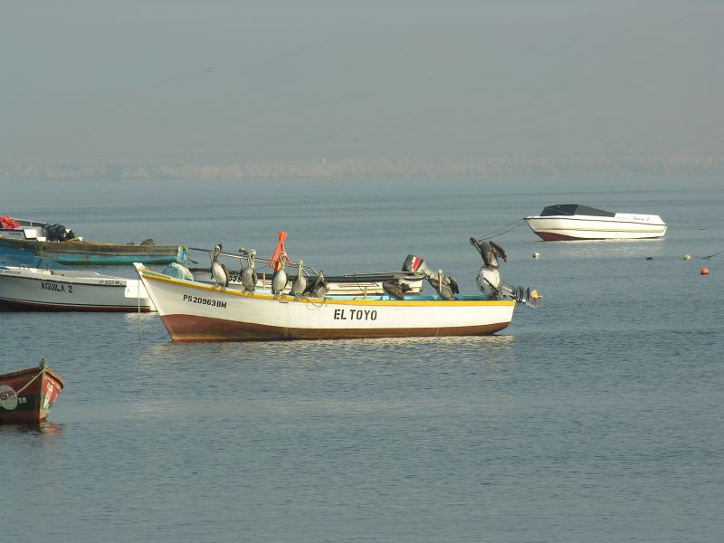 Description of the image