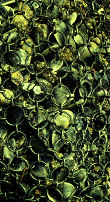 Description of the image