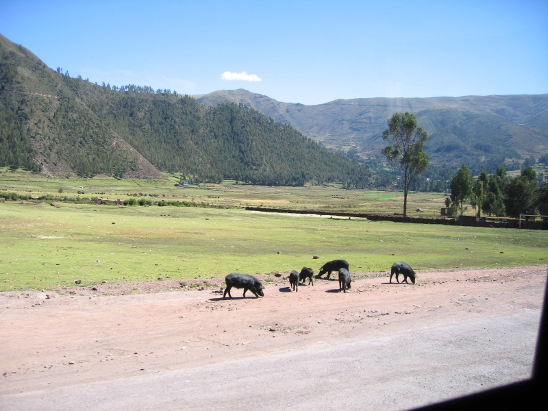 Description of the image