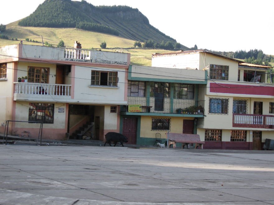 Description of the image