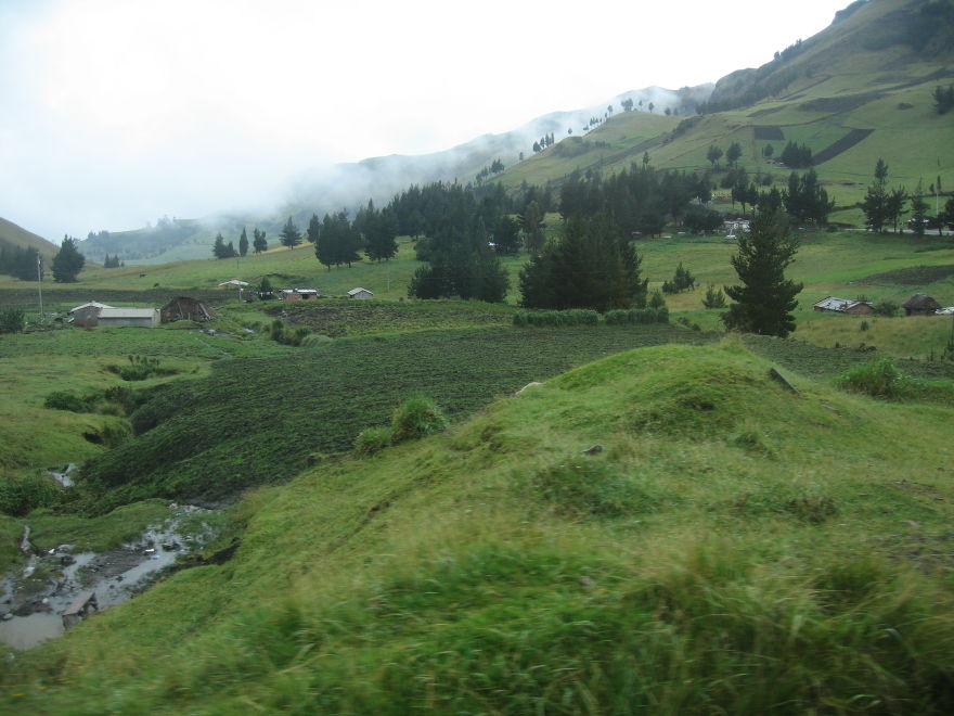 Description of the image