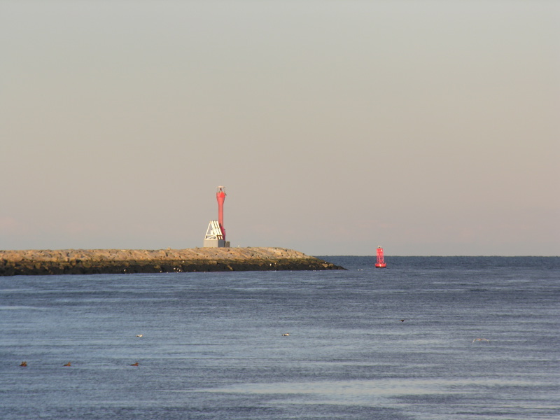 Description of the image
