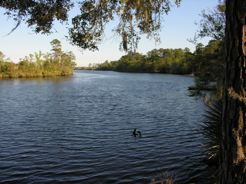 Description of the image