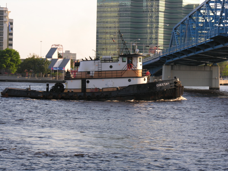 Description of the image