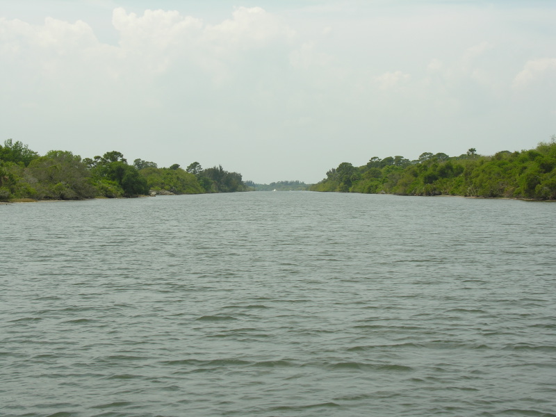 Description of the image