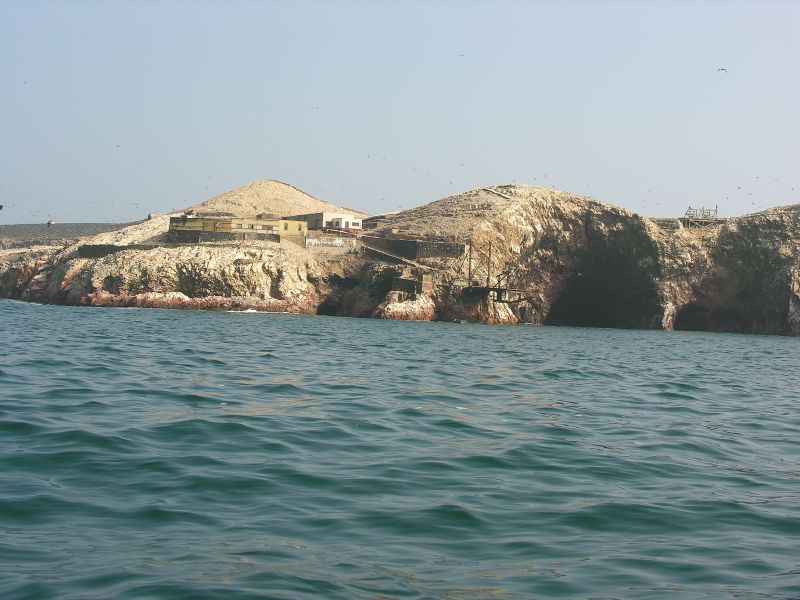 Description of the image
