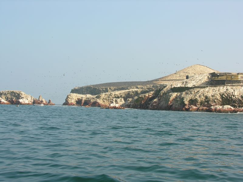 Description of the image