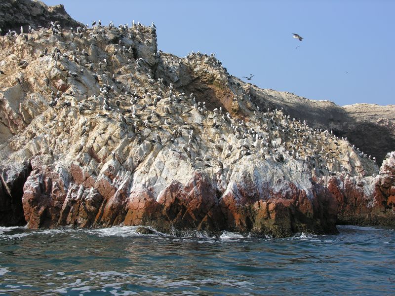 Description of the image
