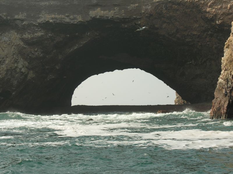 Description of the image