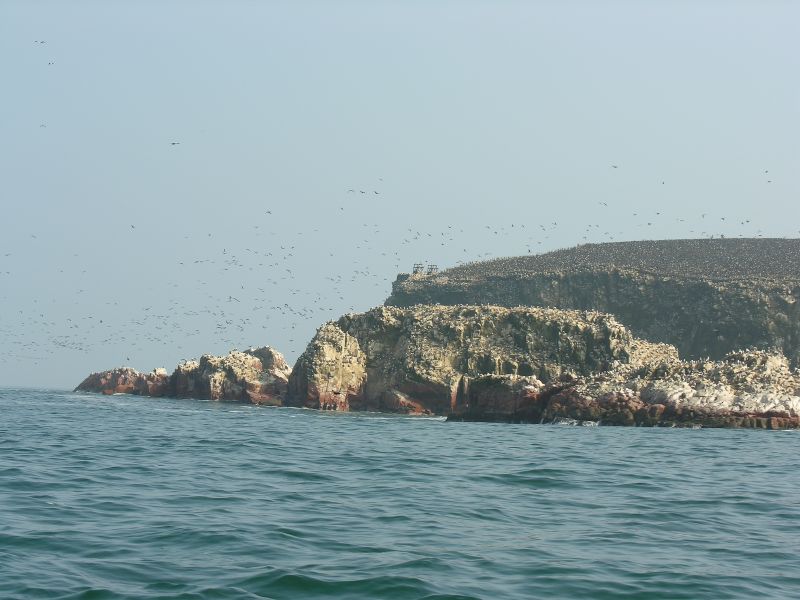 Description of the image