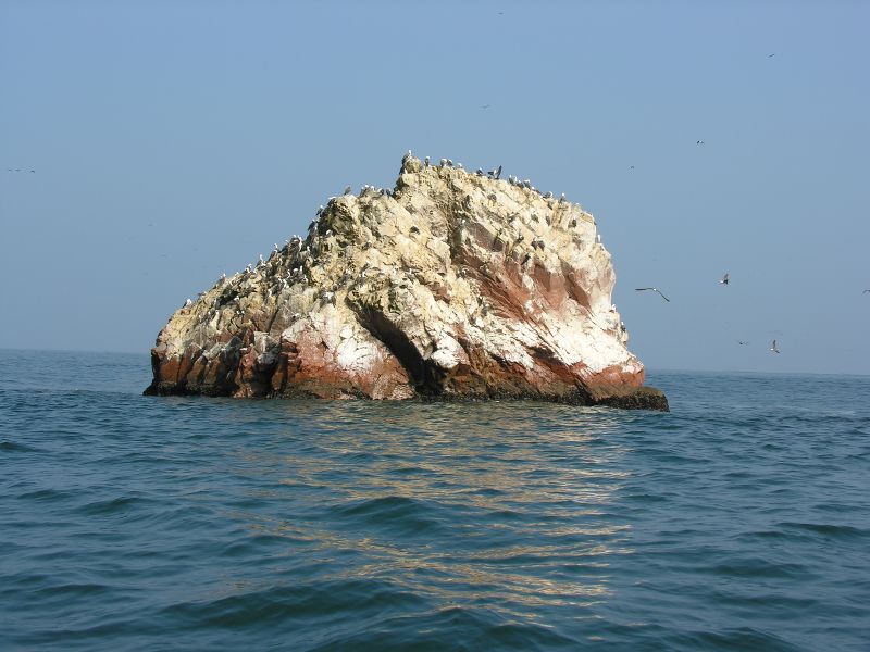 Description of the image