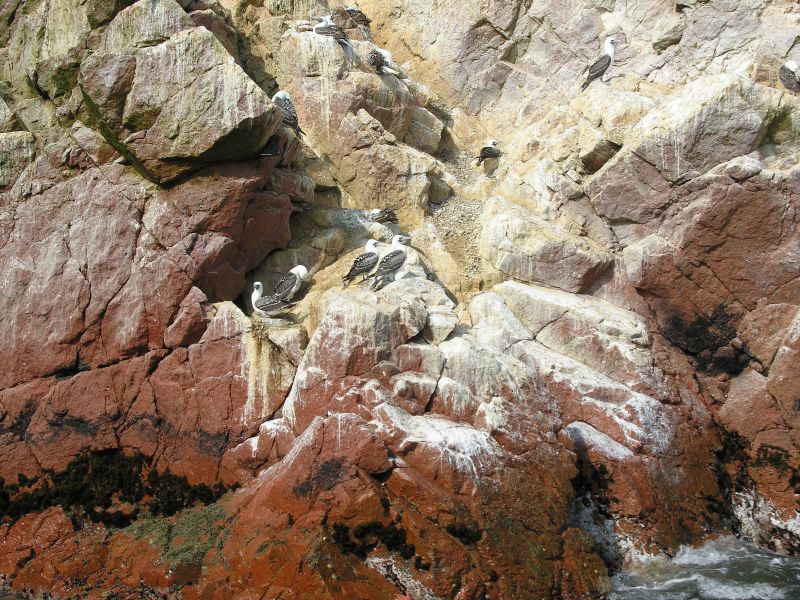 Description of the image
