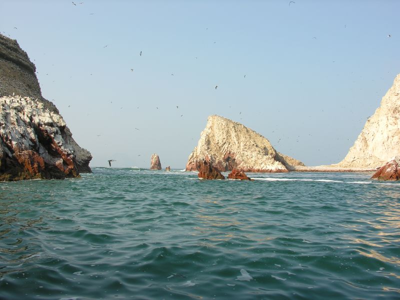 Description of the image